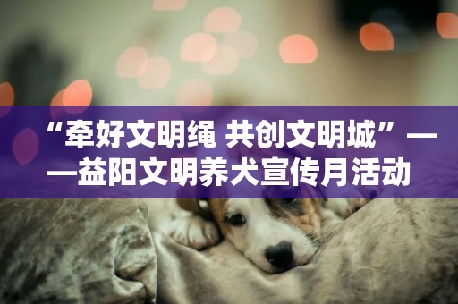 “牽好文明繩 共創文明城”——益陽文明養犬宣傳月活動