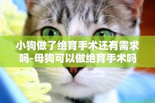 小狗做了絕育手術還有需求嗎-母狗可以做絕育手術嗎