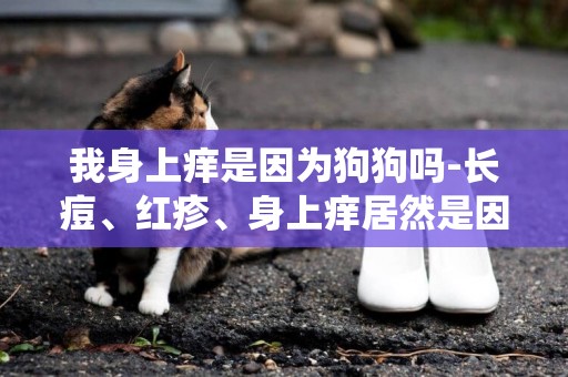 我身上癢是因為狗狗嗎-長痘、紅疹、身上癢居然是因為螨蟲