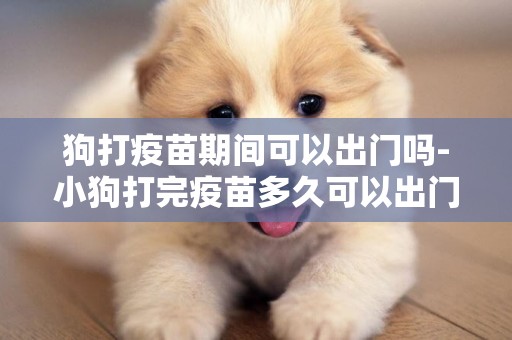 狗打疫苗期間可以出門嗎-小狗打完疫苗多久可以出門