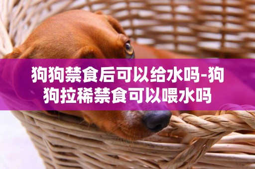 狗狗禁食后可以給水嗎-狗狗拉稀禁食可以喂水嗎