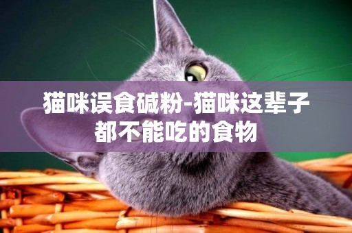 貓咪誤食堿粉-貓咪這輩子都不能吃的食物