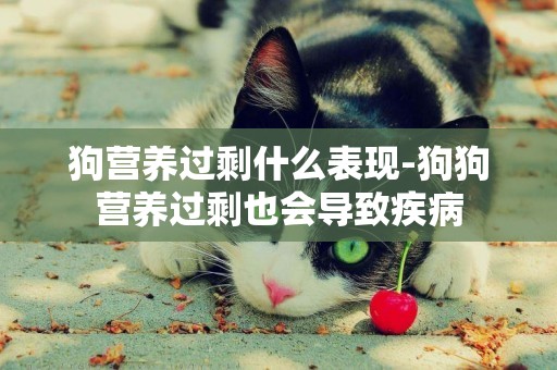狗營養過剩什么表現-狗狗營養過剩也會導致疾病