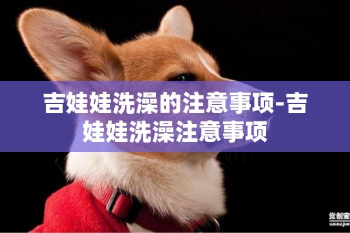 吉娃娃洗澡的注意事項-吉娃娃洗澡注意事項