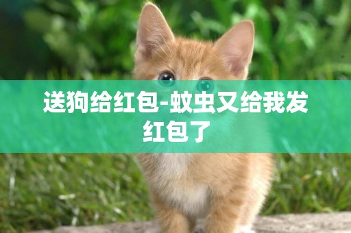 送狗給紅包-蚊蟲又給我發紅包了