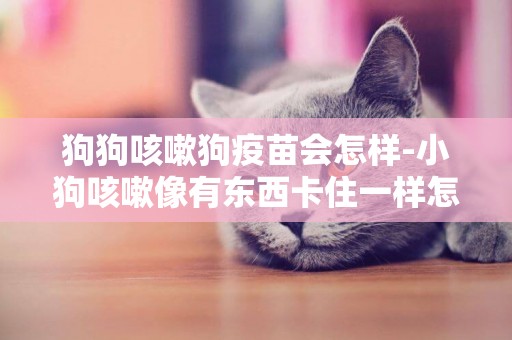 狗狗咳嗽狗疫苗會怎樣-小狗咳嗽像有東西卡住一樣怎么辦