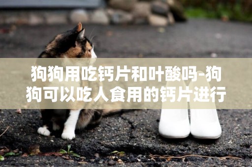 狗狗用吃鈣片和葉酸嗎-狗狗可以吃人食用的鈣片進行補鈣嗎
