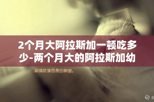 2個月大阿拉斯加一頓吃多少-兩個月大的阿拉斯加幼犬一頓喂多少狗糧