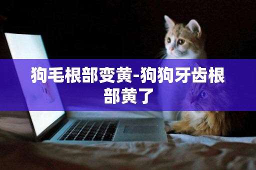 狗毛根部變黃-狗狗牙齒根部黃了