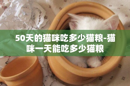 50天的貓咪吃多少貓糧-貓咪一天能吃多少貓糧