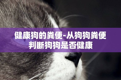 健康狗的糞便-從狗狗糞便判斷狗狗是否健康