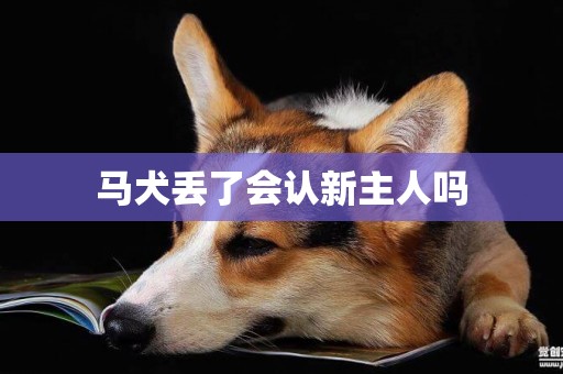 馬犬丟了會認新主人嗎