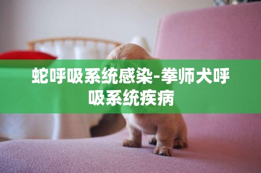 蛇呼吸系統感染-拳師犬呼吸系統疾病