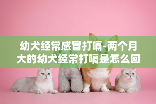 幼犬經常感冒打嗝-兩個月大的幼犬經常打嗝是怎么回事