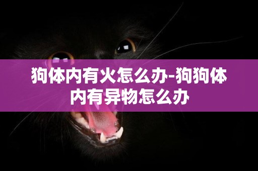 狗體內有火怎么辦-狗狗體內有異物怎么辦