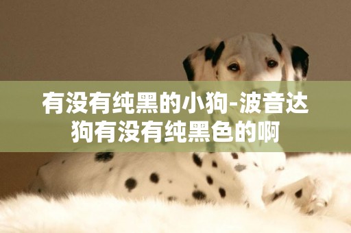 有沒有純黑的小狗-波音達狗有沒有純黑色的啊