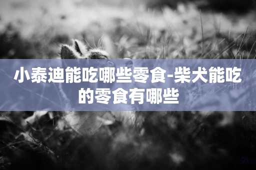 小泰迪能吃哪些零食-柴犬能吃的零食有哪些