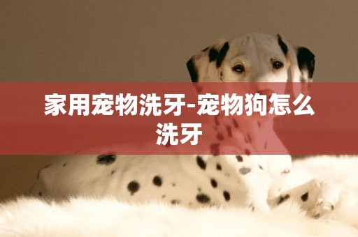 家用寵物洗牙-寵物狗怎么洗牙