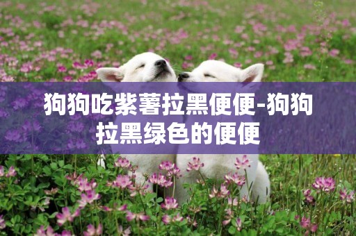狗狗吃紫薯拉黑便便-狗狗拉黑綠色的便便