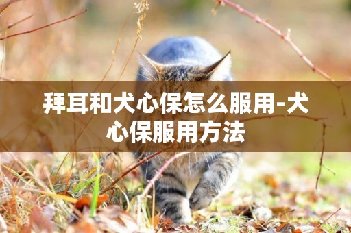 拜耳和犬心保怎么服用-犬心保服用方法