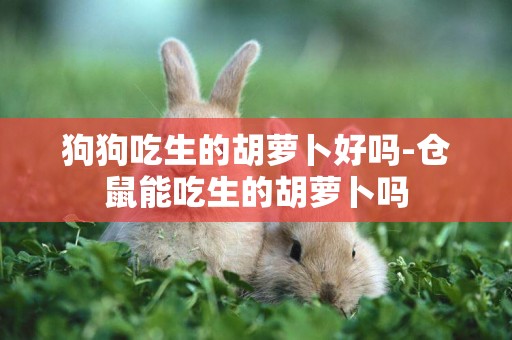 狗狗吃生的胡蘿卜好嗎-倉鼠能吃生的胡蘿卜嗎