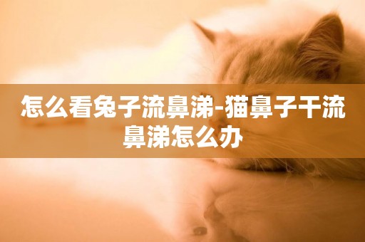 怎么看兔子流鼻涕-貓鼻子干流鼻涕怎么辦