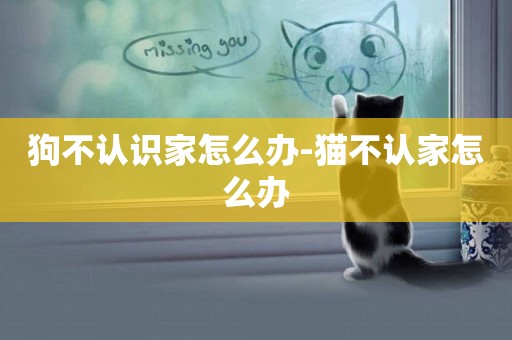 狗不認識家怎么辦-貓不認家怎么辦