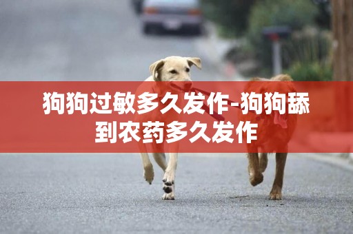 狗狗過敏多久發作-狗狗舔到農藥多久發作
