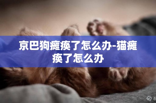 京巴狗癱瘓了怎么辦-貓癱瘓了怎么辦
