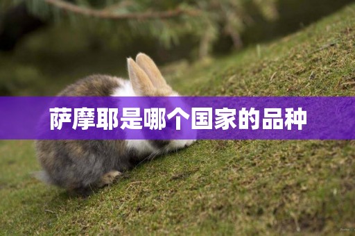 薩摩耶是哪個國家的品種