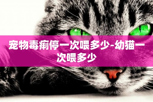 寵物毒痢停一次喂多少-幼貓一次喂多少