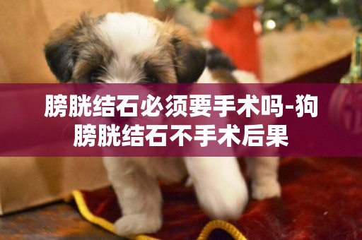 膀胱結石必須要手術嗎-狗膀胱結石不手術后果