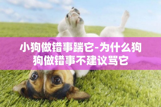 小狗做錯事踹它-為什么狗狗做錯事不建議罵它