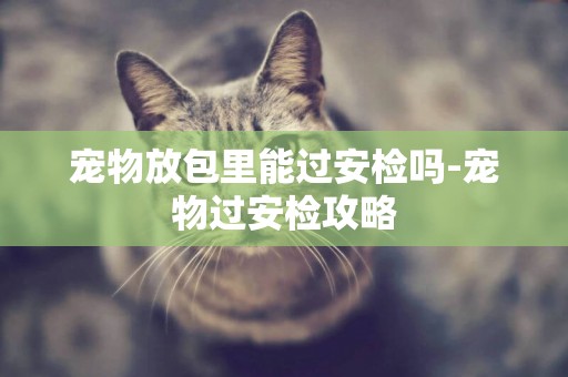 寵物放包里能過安檢嗎-寵物過安檢攻略