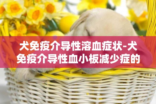 犬免疫介導性溶血癥狀-犬免疫介導性血小板減少癥的病因是什么