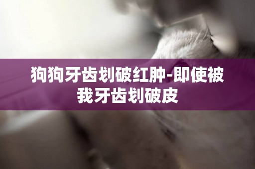 狗狗牙齒劃破紅腫-即使被我牙齒劃破皮