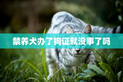 禁養犬辦了狗證就沒事了嗎