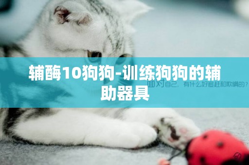輔酶10狗狗-訓練狗狗的輔助器具