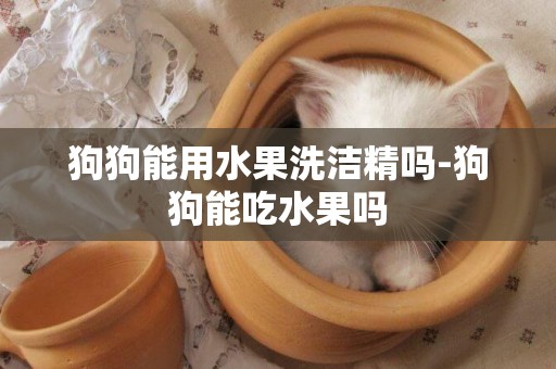 狗狗能用水果洗潔精嗎-狗狗能吃水果嗎