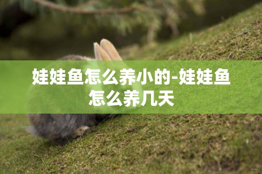 娃娃魚怎么養小的-娃娃魚怎么養幾天