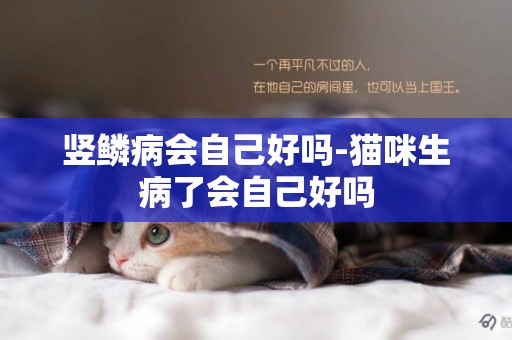 豎鱗病會自己好嗎-貓咪生病了會自己好嗎