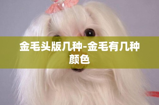 金毛頭版幾種-金毛有幾種顏色