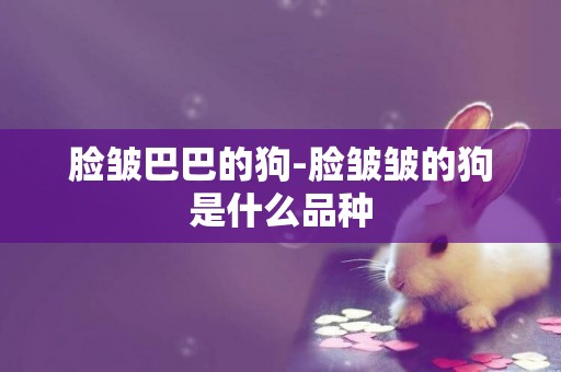 臉皺巴巴的狗-臉皺皺的狗是什么品種