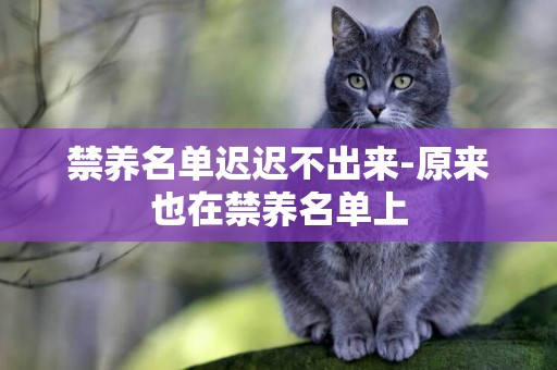 禁養名單遲遲不出來-原來也在禁養名單上