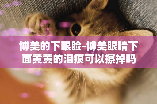博美的下眼瞼-博美眼睛下面黃黃的淚痕可以擦掉嗎