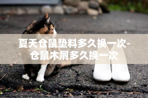 夏天倉鼠墊料多久換一次-倉鼠木屑多久換一次