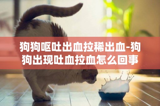 狗狗嘔吐出血拉稀出血-狗狗出現吐血拉血怎么回事