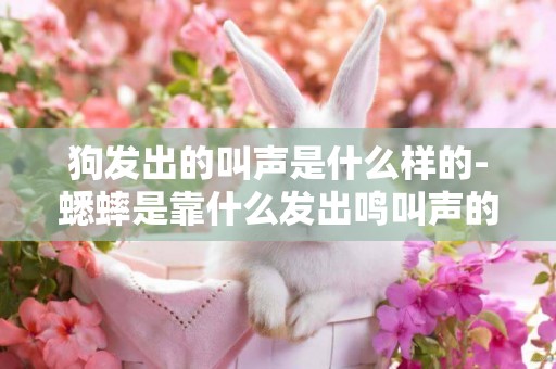 狗發出的叫聲是什么樣的-蟋蟀是靠什么發出鳴叫聲的