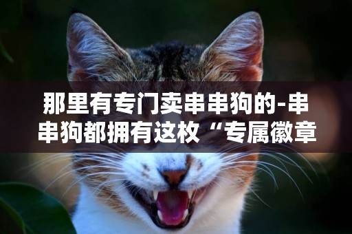 那里有專門賣串串狗的-串串狗都擁有這枚“專屬徽章”