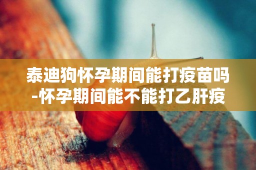 泰迪狗懷孕期間能打疫苗嗎-懷孕期間能不能打乙肝疫苗呢